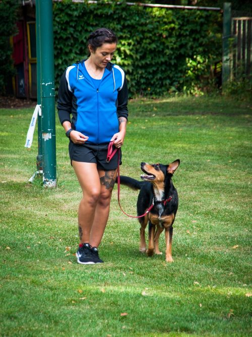Obedience Training