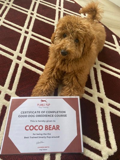 Eileen, Liam and Coco Bear