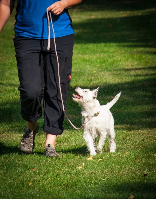 Enjoyable Walks