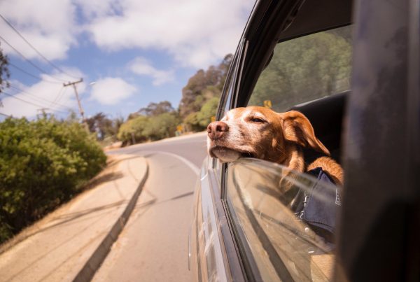 Eliminate Travel Stress