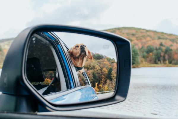 Eliminate travel Stress