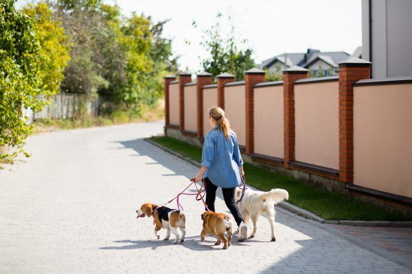Busy commuter suburbs and growing estates