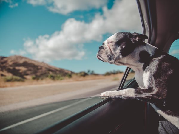 Eliminate Travel Stress