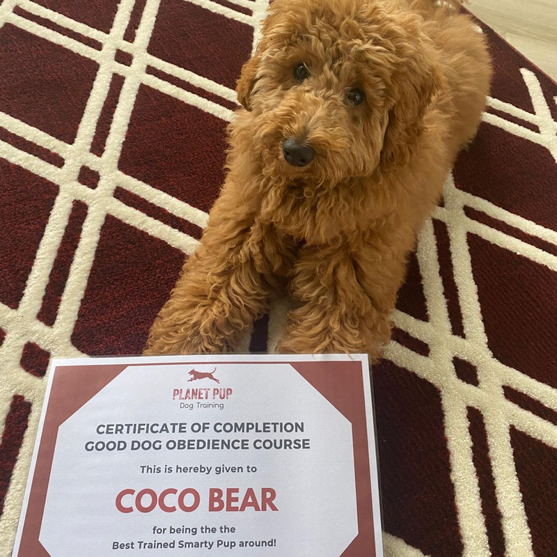 Eileen, Liam and Coco Bear