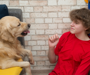 behaviour consults help with things like aggression, barking, biting , fear and anxiety