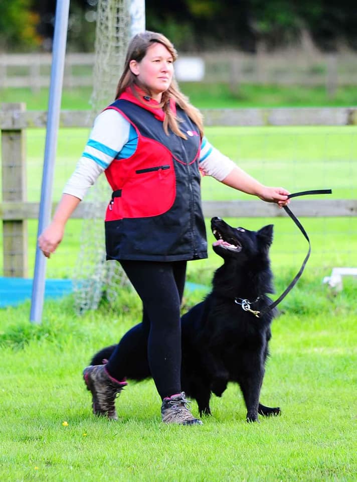 Lauren's dog Tyson practicing heeling