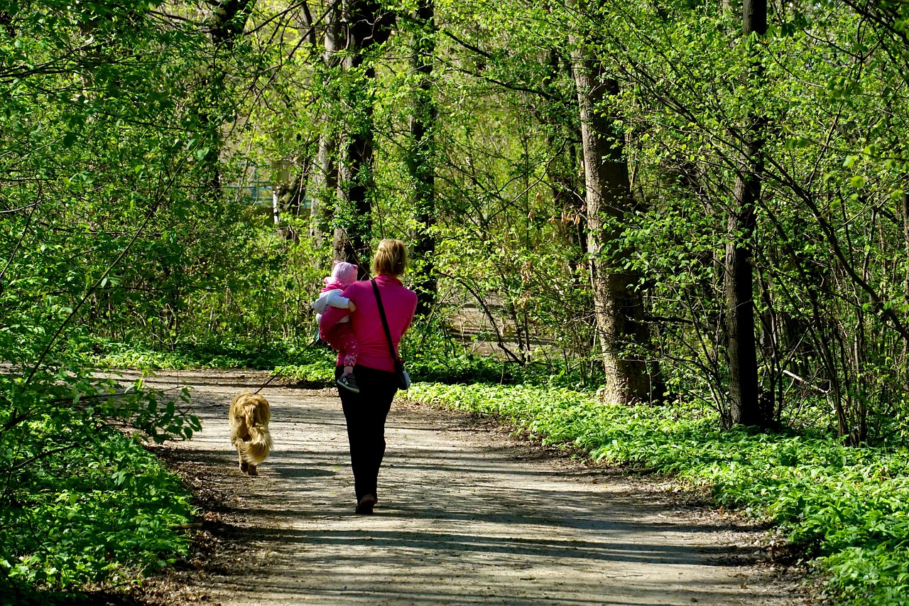 Parks, walkways and distractions