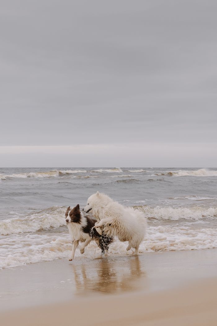 Coastal walks, beaches and open spaces