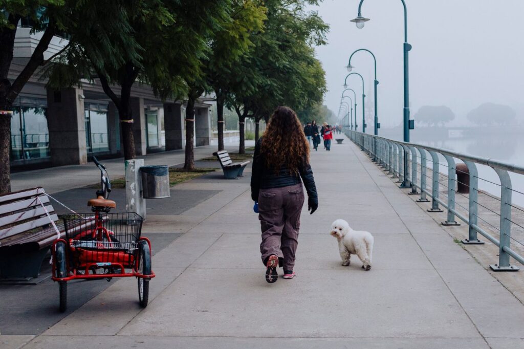 Urban scene of a woman walking her dog along a foggy promenade in Buenos Aires, Argentina.