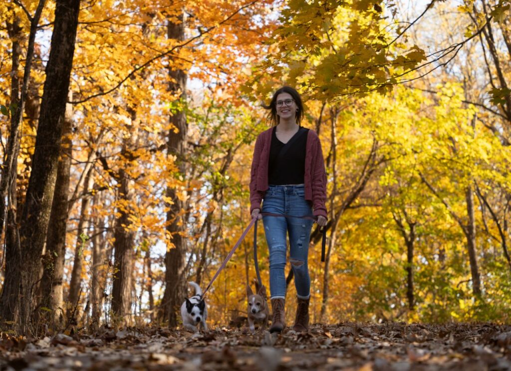 A woman walks two dogs on a vibrant fall day in a colorful forest, surrounded by golden leaves.