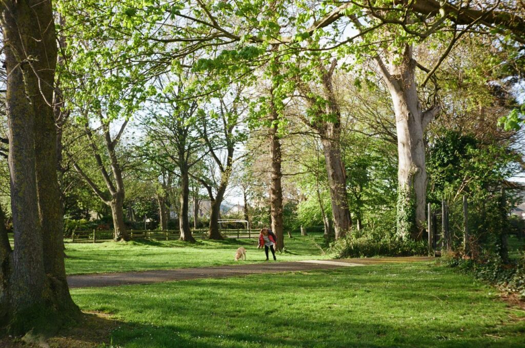 Fitsgeralds park is a wonderful dog-friendly walk in cork